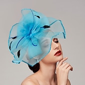 levne Fascinátory-Pera  síťové fascinátory  klobouky  čelenka s perem  čepicí  květinou 1 ks svatba  dostihy  Melbourne Cup čelenka která okouzlí na dostihy