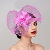 billige Coiffer-fjær / nettfascinatorer kentucky derby lue / hodeplagg med fjær / cap / blomst 1 stk bryllup / hesteveddeløp / melbourne cup hodeplagg