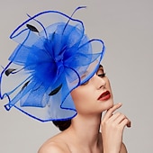 levne Fascinátory-Pera  síťové fascinátory  klobouky  čelenka s perem  čepicí  květinou 1 ks svatba  dostihy  Melbourne Cup čelenka která okouzlí na dostihy