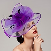 levne Fascinátory-Pera  síťové fascinátory  klobouky  čelenka s perem  čepicí  květinou 1 ks svatba  dostihy  Melbourne Cup čelenka která okouzlí na dostihy