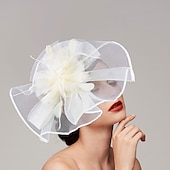 levne Fascinátory-Pera  síťové fascinátory  klobouky  čelenka s perem  čepicí  květinou 1 ks svatba  dostihy  Melbourne Cup čelenka která okouzlí na dostihy