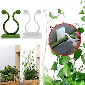 billige plantepleietilbehør-20 stykker usynlig vegg rottingklemme plante klatrevegg selvklebende fiksator vine spenne krok rotting fast klips brakett plante stentstøtte