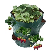billige plantevekstposer-vertikal jordbærplanting vokseposer vokseposer med 10 lommer planter voksepose - hagearbeid vegg hengende grønnsak plante verktøy