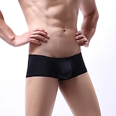 abordables Ropa interior masculina exótica-Hombre 1 paquete Sexy bragas Slip Básico Nailon Licra Color puro Baja cintura Negro Blanco