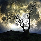 cheap Landscape Tapestry-Wall Tapestry Art Decor Blanket Curtain Picnic Tablecloth Hanging Home Bedroom Living Room Dorm Decoration Polyester Tree Moon Sky Views