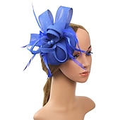 levne Fascinátory-fascinators kentucky derby klobouk pokrývka hlavy polyester / polyamid kbelík klobouk krabička na tablety klobouk dovolená melbourne cup koktejl královský astcot s aplikacemi z peří pokrývka hlavy