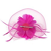 levne Fascinátory-Fascinátory Klobouky Doplňky do vlasů Organza Polyester / polyamid Kbelík Večírek Dovolená Retro styl S Peří Přílba Pokrývky Hlavy
