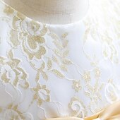 preiswerte Partykleider-Kleid für Kleinkinder, Mädchen, Blume, ärmellos, Performance, Party, Netz, niedlich, Polyester, knielang, Tüllkleid, Sommer, Frühling, 0–3 Jahre, Gold