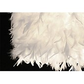 levne Lustry-40/50 cm jedinečné závěsné světlo LED design lustr kovové peří galvanicky moderní moderní 220-240v