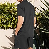 billiga Basic skjortor för män-Herr linneskjorta Linneskjorta i bomull Vit bomullsskjorta 2 delar Skjorta set Sommarskjorta Slät Utomhus Gata Svart Vit Armégrön Beige Kortärmad Nedvikt Sommar Kläder Button-Down