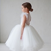 levne Párty šaty-Děti Dívčí Šaty na párty Pevná barva Krátký rukáv Výkon Svatební Nabírané šaty Síťka Princeznovské Krásná Polyester Midi Šaty na párty Swingové šaty Léto Jaro 2-9 let Černá Bílá Rubínově červená