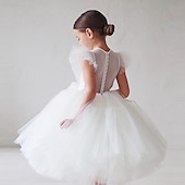 levne Párty šaty-Děti Dívčí Šaty na párty Pevná barva Krátký rukáv Výkon Svatební Nabírané šaty Síťka Princeznovské Krásná Polyester Midi Šaty na párty Swingové šaty Léto Jaro 2-9 let Černá Bílá Rubínově červená