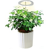 Χαμηλού Κόστους Φώτα Ανάπτυξης Φυτών-angel grow light 4 ή 3 δακτυλίους dc5v usb φυτολάμπα για φυτά led full spectrum λάμπα για σπορόφυτα φυτών εσωτερικού χώρου παχύφυτα λουλουδιών σπιτιού 1τμχ