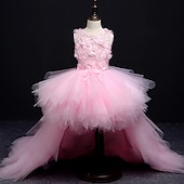cheap Flower Girl Dresses-Kids Little Girls&#039; Dress Floral Solid Colored A Line Dress Party Performance Embroidered Mesh Bow Red Asymmetrical Sleeveless Princess Sweet Dresses Spring Summer Regular Fit 3-12 Years