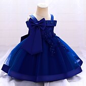 ieftine Rochii de Petrecere-Copii Fete Rochie Mată Floare Manșon scurt Petrecere Zilnic Brodat Funde Drăguţ Prințesă Poliester Midi Rochie cu broderie florală Rochie Skater Rochie din Tul Vară Primăvară 2-8 ani Galben Roz