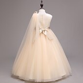 preiswerte Kleider für die Blumenmädchen-kinderkleidung Mädchen Blumenmädchen Kleid Kleid Einfarbig Ärmellos Leistung Hochzeit Party Gitter Bestickt Schleife Prinzessin Süß Baumwolle Tüll Asymmetrisch Rosa Prinzessinnenkleid A Linie Kleid