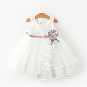 cheap Fairytale Theme Dresses-Kids Little Girls&#039; Dress Flower Swing Dress Party Birthday Daily Lace Ruffle Mesh Green White Pink Sleeveless Cute Princess Sweet Dresses Spring Summer 2-6 Years