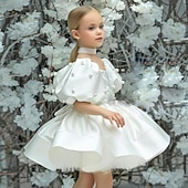 Kids Girls' Flower Girl Dress Dress Solid Color Solid Colored Short Sleeve Formal Wedding Party Ruched Mesh Puff Sleeve Cute Sweet Polyester Above Knee A Line Dress Tulle Dress Flower Girl's Dress3