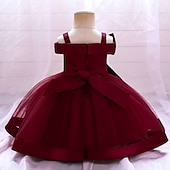 ieftine Rochii de Petrecere-Copii Fete Rochie Mată Floare Manșon scurt Petrecere Zilnic Brodat Funde Drăguţ Prințesă Poliester Midi Rochie cu broderie florală Rochie Skater Rochie din Tul Vară Primăvară 2-8 ani Galben Roz