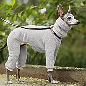 billiga Overall-Hund Jumpsuits Mode Stylish Vanlig Klassisk Stil Retro / vintage Höst Vinter Varm Mode Utomhussport Hundkläder for Vinthund