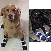 abordables Bottes &amp; Protecteurs de Pattes-chaussures pour chien, bottes pour chien chaussures imperméables pour grands chiens, bottes pour chien doublure chaude semelle en caoutchouc antidérapante pour la neige hiver, semelle antidérapante