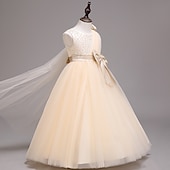 preiswerte Kleider für die Blumenmädchen-kinderkleidung Mädchen Blumenmädchen Kleid Kleid Einfarbig Ärmellos Leistung Hochzeit Party Gitter Bestickt Schleife Prinzessin Süß Baumwolle Tüll Asymmetrisch Rosa Prinzessinnenkleid A Linie Kleid