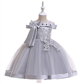 ieftine Rochii de Petrecere-Copii Fete Rochie Mată Floare Manșon scurt Petrecere Zilnic Brodat Funde Drăguţ Prințesă Poliester Midi Rochie cu broderie florală Rochie Skater Rochie din Tul Vară Primăvară 2-8 ani Galben Roz