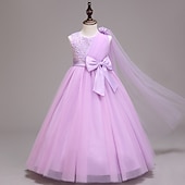 preiswerte Kleider für die Blumenmädchen-kinderkleidung Mädchen Blumenmädchen Kleid Kleid Einfarbig Ärmellos Leistung Hochzeit Party Gitter Bestickt Schleife Prinzessin Süß Baumwolle Tüll Asymmetrisch Rosa Prinzessinnenkleid A Linie Kleid