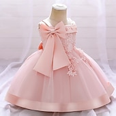 ieftine Rochii de Petrecere-Copii Fete Rochie Mată Floare Manșon scurt Petrecere Zilnic Brodat Funde Drăguţ Prințesă Poliester Midi Rochie cu broderie florală Rochie Skater Rochie din Tul Vară Primăvară 2-8 ani Galben Roz