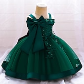 ieftine Rochii de Petrecere-Copii Fete Rochie Mată Floare Manșon scurt Petrecere Zilnic Brodat Funde Drăguţ Prințesă Poliester Midi Rochie cu broderie florală Rochie Skater Rochie din Tul Vară Primăvară 2-8 ani Galben Roz