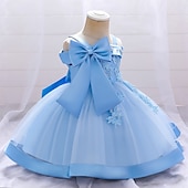 ieftine Rochii de Petrecere-Copii Fete Rochie Mată Floare Manșon scurt Petrecere Zilnic Brodat Funde Drăguţ Prințesă Poliester Midi Rochie cu broderie florală Rochie Skater Rochie din Tul Vară Primăvară 2-8 ani Galben Roz