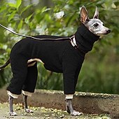 billiga Overall-Hund Jumpsuits Mode Stylish Vanlig Klassisk Stil Retro / vintage Höst Vinter Varm Mode Utomhussport Hundkläder for Vinthund