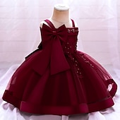 ieftine Rochii de Petrecere-Copii Fete Rochie Mată Floare Manșon scurt Petrecere Zilnic Brodat Funde Drăguţ Prințesă Poliester Midi Rochie cu broderie florală Rochie Skater Rochie din Tul Vară Primăvară 2-8 ani Galben Roz
