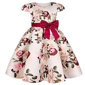 levne Párty šaty-Děti Dívčí Šaty Šaty na párty Květiny Krátký rukáv Výkon Křtinové šaty Kravatový uzel Princeznovské Polyester Midi Šaty na párty Léto Jaro 3-10 let Bordó Více barev Barva modrá