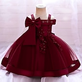 ieftine Rochii de Petrecere-Copii Fete Rochie Mată Floare Manșon scurt Petrecere Zilnic Brodat Funde Drăguţ Prințesă Poliester Midi Rochie cu broderie florală Rochie Skater Rochie din Tul Vară Primăvară 2-8 ani Galben Roz