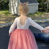 billiga Brudnäbbsklänningar-Barn flickors blommig klänning strandbröllop avslappnad tulle klänning fest rynkad mesh spets grön vit blå maxi lång ärm prinsessan söta klänningar festklänning online vanlig passform 4-13 år klänning