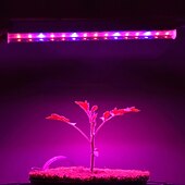 billiga LED Växtljus-30cm led växtljus ac85-265v 6w t5 rör fullspektrum fytolampor för växter grönsaksblommor frön fytoplantor lampa led växtodlingslampa eu us uk au plug
