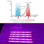 billiga LED Växtljus-30cm led växtljus ac85-265v 6w t5 rör fullspektrum fytolampor för växter grönsaksblommor frön fytoplantor lampa led växtodlingslampa eu us uk au plug