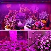 billiga LED Växtljus-30cm led växtljus ac85-265v 6w t5 rör fullspektrum fytolampor för växter grönsaksblommor frön fytoplantor lampa led växtodlingslampa eu us uk au plug