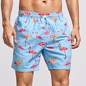 お買い得  動物と鳥-男性用 グラフィック フラミンゴ スイミングトランクス ボードショーツ スイムショーツ ミディアムウエスト ファッション ハワイアン クラシック カジュアル 日常 祝日 メッシュ裏地付き 弾性ウエスト プリント デザイナー 衣類