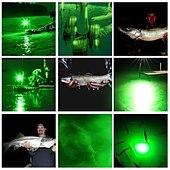 preiswerte Unterwasserlampen-Unterwasser-Angellicht Tauch-Fischsucherlampe cob led innovatives kompaktes Design mit 5m Kabel 1St