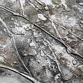 levne Květinové či botanické obrazy-ruční olejomalba plátno umělecká výzdoba abstraktní kvetoucí textura strom malba abstraktní rostlinná malba pro domácí výzdobu válcovaný bezrámový nenatažený obraz