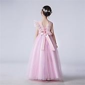 Infantil Para Meninas Vestido Cor Sólida Vestido De Tule Longo Vestido Festa Com Miçangas Sem Manga Estilo bonito Vestido 4-13 anos Primavera Azul Roxo Champanhe baratos Vestidos floridos-Infantil Para Meninas Vestido Cor Sólida Vestido De Tule Longo Vestido Festa Com Miçangas Sem Manga Estilo bonito Vestido 4-13 anos Primavera Azul Roxo Champanhe