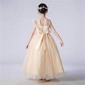 Infantil Para Meninas Vestido Cor Sólida Vestido De Tule Longo Vestido Festa Com Miçangas Sem Manga Estilo bonito Vestido 4-13 anos Primavera Azul Roxo Champanhe baratos Vestidos floridos-Infantil Para Meninas Vestido Cor Sólida Vestido De Tule Longo Vestido Festa Com Miçangas Sem Manga Estilo bonito Vestido 4-13 anos Primavera Azul Roxo Champanhe