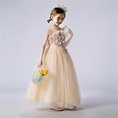 Infantil Para Meninas Vestido Cor Sólida Vestido De Tule Longo Vestido Festa Com Miçangas Sem Manga Estilo bonito Vestido 4-13 anos Primavera Azul Roxo Champanhe baratos Vestidos floridos-Infantil Para Meninas Vestido Cor Sólida Vestido De Tule Longo Vestido Festa Com Miçangas Sem Manga Estilo bonito Vestido 4-13 anos Primavera Azul Roxo Champanhe