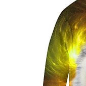 billiga Pojkens 3D-djur-Barn Pojkar Huvtröja Långärmad 3D-tryck Hund Djur Ficka Gul Barn Blast Höst Vår Aktiv Mode Dagligen Dagligen Inomhus Utomhus Normal 3-13 år