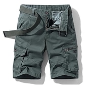 tanie Klasyczny-Męskie Spodenki cargo Kraťasy na turistiku Zamek Multi Pocket Wiele kieszeni Litera Do kolan Codzienny Poczta Chino Zieleń wojskowa Khaki Średnio elastyczny