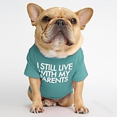 tanie Kamizelka chłodząca i koszula-Psy Koty T-shirt Moda Śłodkie Oddychający Miękka Zmywalny Wygodny Na zewnątrz Codzienne Ubranka dla psów for Bichon frise Szpic miniaturowy szczeniaków i młodych kotów Motyl Small
