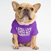 tanie Kamizelka chłodząca i koszula-Psy Koty T-shirt Moda Śłodkie Oddychający Miękka Zmywalny Wygodny Na zewnątrz Codzienne Ubranka dla psów for Bichon frise Szpic miniaturowy szczeniaków i młodych kotów Motyl Small