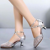 cheap Ballroom Shoes &amp; Modern Dance Shoes-Women&#039;s Silver Mesh Lace Dance Shoes – Low Heel Latin Ballroom Heels with Ankle Strap for Weddings and Special Events